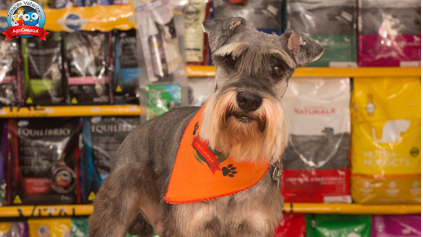 Almacén Veterinaria Agroguayaquil - Tienda de productos para mascotas en Barrancabermeja