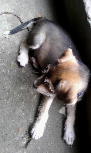 Ferreteria La 44 - Comercio en Barrancabermeja