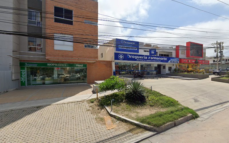 Biopharma Natural 3 - Farmacia homeopática en Barranquilla