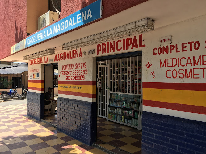 DROGUERIA LA MAGDALENA PRINCIPAL - Farmacia en Barranquilla