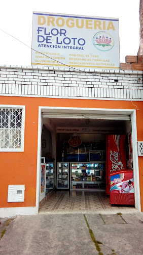 DROGUERIA FLOR DE LOTO - Farmacia en Bogotá