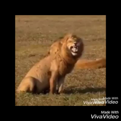 Droguería Hospitalaria 24 Horas - Farmacia en Bogotá