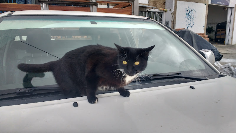 Ferretería AFC LTDA - Ferretería en Bogotá