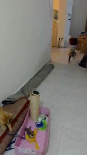 Ferretería Distribaez - Ferretería en Bogotá