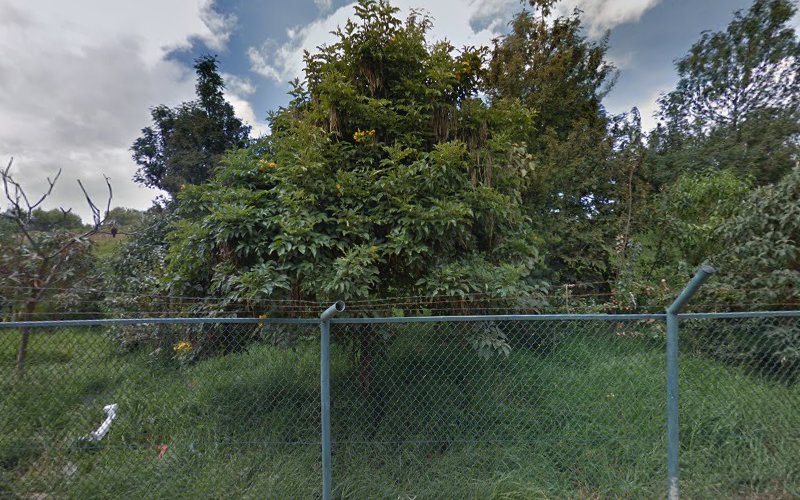 Ferreteria Y Pinturas Color Esperanza - Ferretería en Bogotá