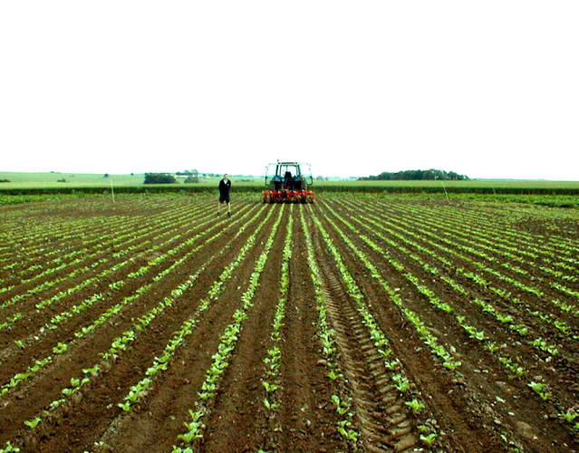 Ferricampos - Ferretería en Bogotá