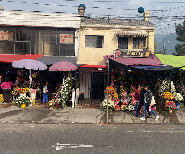 Baruch Capsula - Albergue en Bogotá