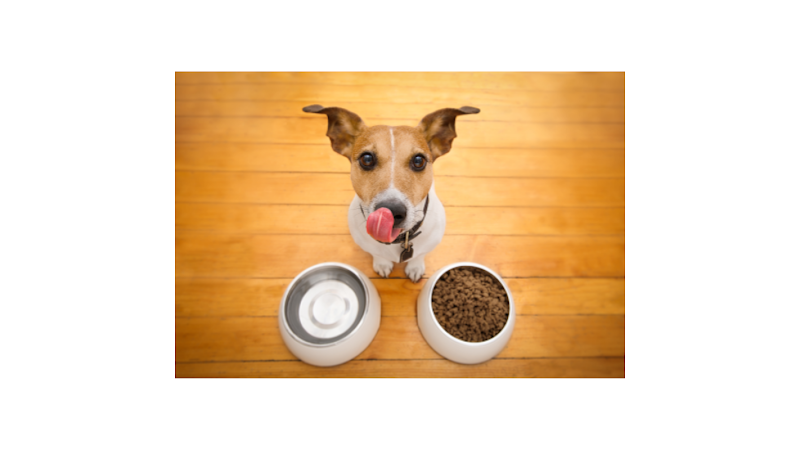 ALMACÉN CENTRO VETERINARIO PENICHE - Cuidados veterinarios en Cali