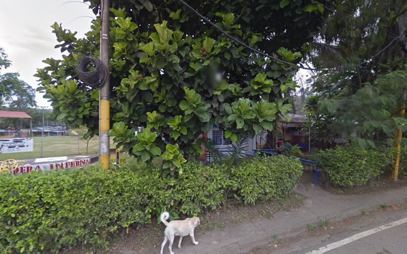 Drogueria El Plan - Farmacia en Cali