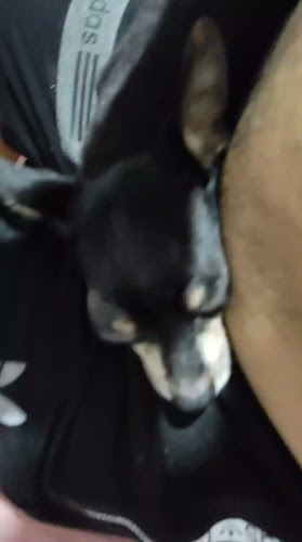 Droguería Global Salud - Farmacia en Cali