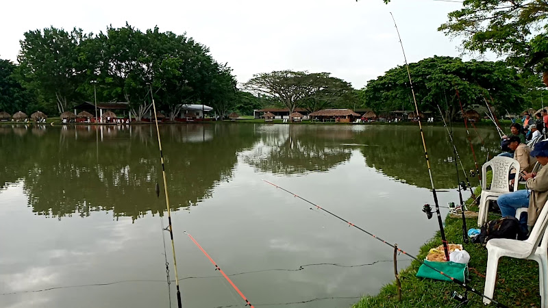 Palmeras del Norte Drogueria - Farmacia en Cali
