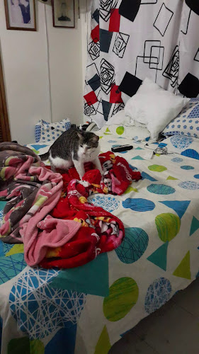 Ferreteria Ceballos - Ferretería en Cali