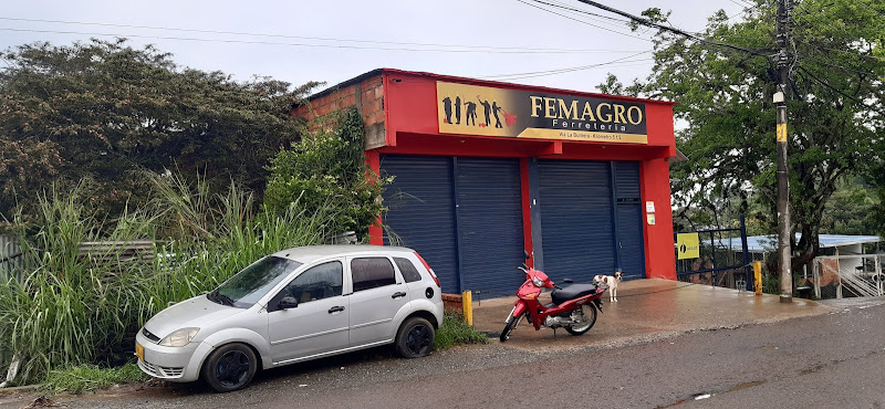 Ferreteria Femagro - Tienda de artículos para el hogar en Cali