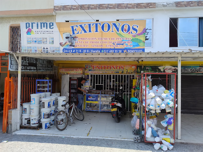 Ferropinturas Exitonos - Tienda de artículos para el hogar en Cali