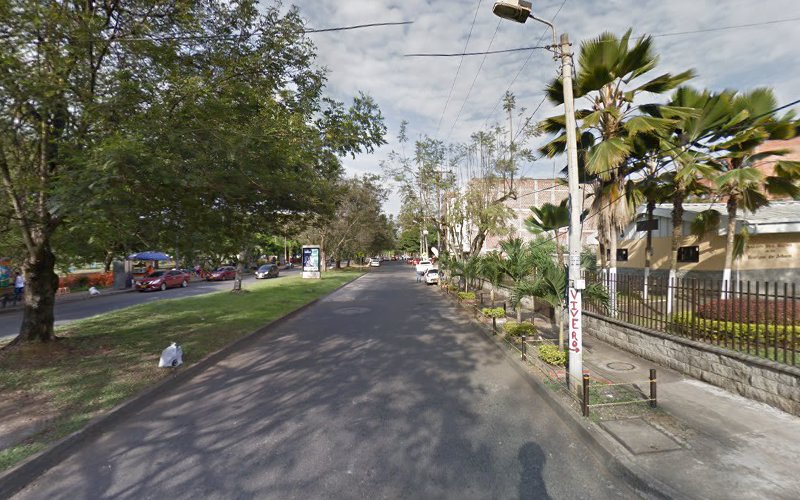 Taller del maestro - Tienda de suministros para trabajar la madera en Cali