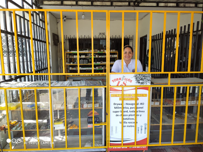 Tornillos LS - Ferretería en Cali