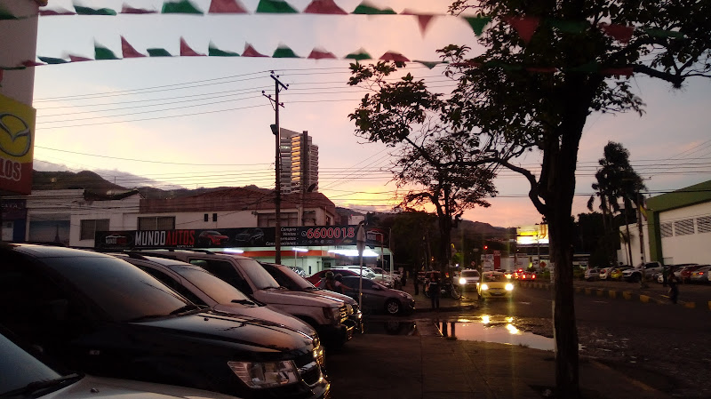 Hotel D'OSCAR - Hotel en Cali