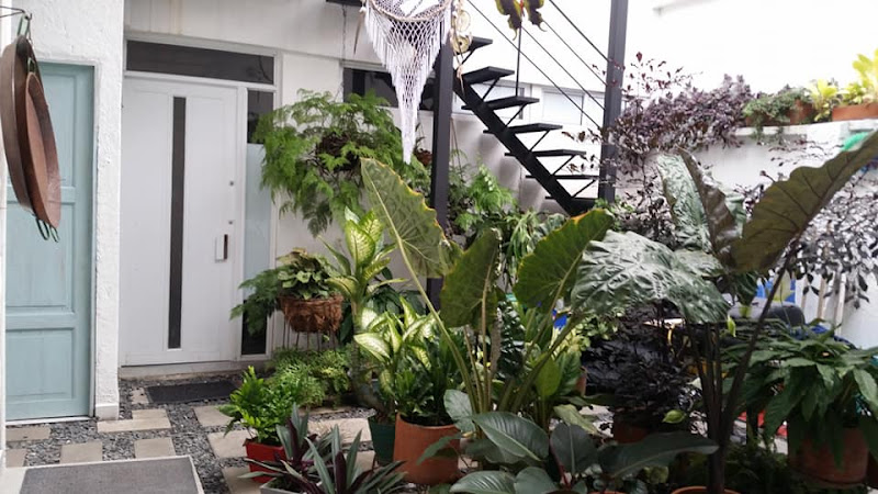 Moonshine Hostel - Albergue en Cali