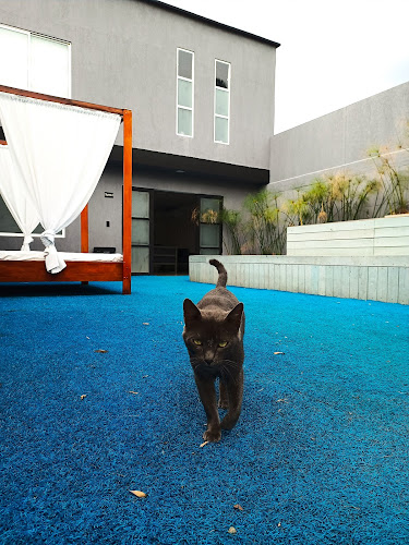 Suites lounge - Hotel en Cali