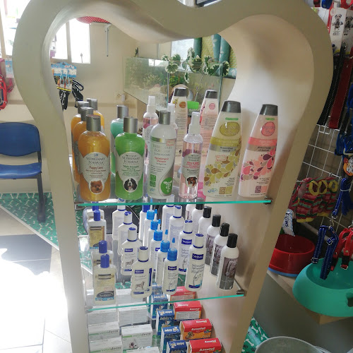 CLINICA VETERINARIA DR SALINAS - Veterinario en Cartagena