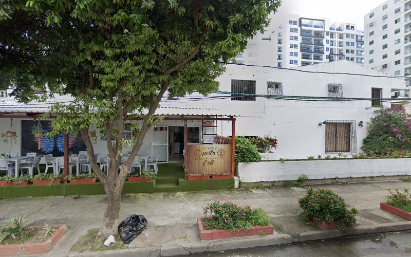 Drogueria Japonesa - Farmacia en Cartagena