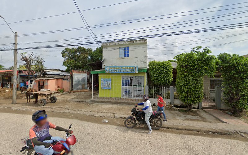 Droguería y veterinaria la tienda de la mascota pet show - Farmacia veterinaria en Cartagena