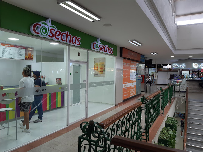 Cosechas La Plazuela ¡Expertos en bebidas! - Restaurante en Cartagena