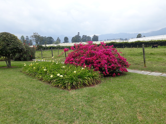 Nazaret. Hermanas siervas de la Iglesia - Monasterio en La Ceja