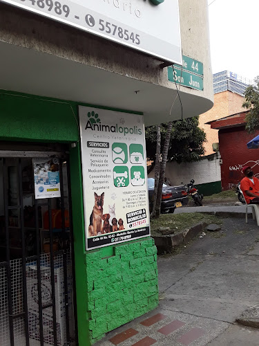 ANIMALOPOLIS - Farmacia veterinaria en Medellín