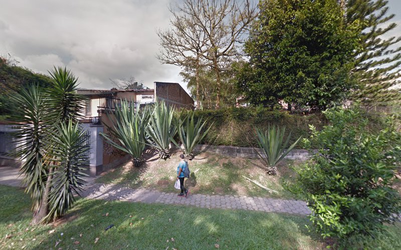 Animals Tienda La Mota Medellín - Tienda de productos para mascotas en Medellín