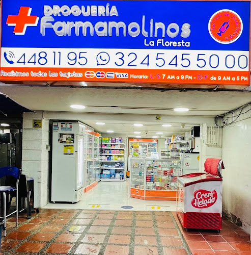 DROGUERIA FARMAMOLINOS LA FLORESTA - Farmacia en Medellín