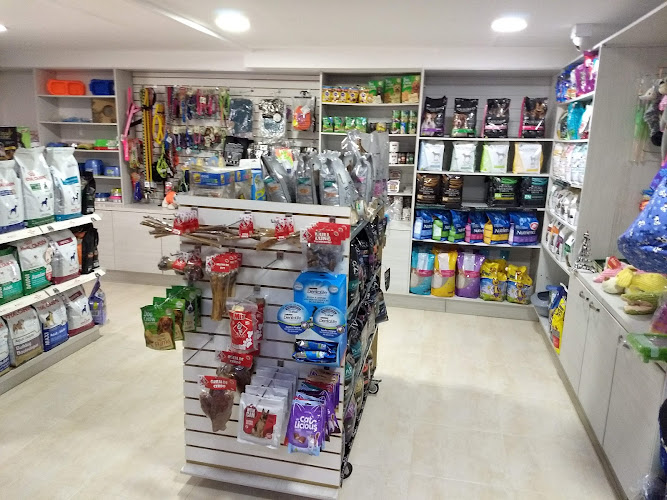 EVI - Clínica Veterinaria 24h Sede Poblado - Servicio de urgencias veterinarias en Medellín