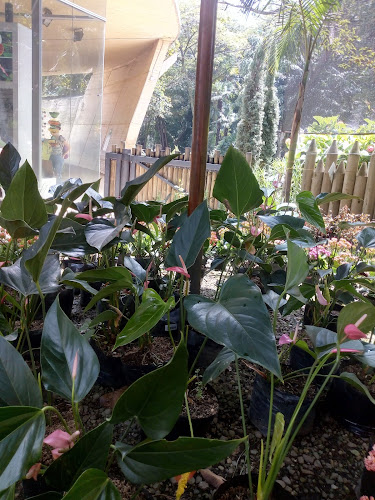 Procitol - Farmacia en Medellín