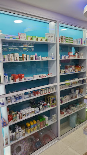 vets place medellin - Farmacia veterinaria en Medellín