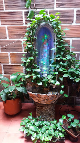 Vía Baloto Drogueria Sert Medellin - Comercio en Medellín