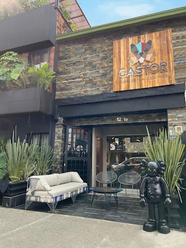 Castor Muebles Y Accesorios Medellín - Tienda de muebles en Medellín