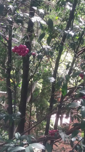 deposito y ferreteria playa blanca - Ferretería en Medellín