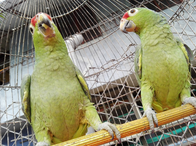 FERRETERIA Y ELECTRICOS DUQUE - Ferretería en Medellín