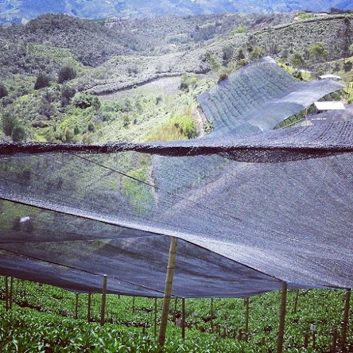 Fisucol - Sellalon - Polisombra - EPP - Yumbolon - Proveedor de materiales de construcción en Medellín