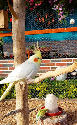 Miselanea Ferroagro El Desvare De San Jose - Tienda de artículos para el hogar en Medellín