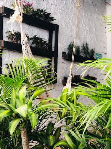 Casa Egos Pop - Posada en Medellín