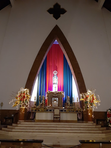 Parroquia Nuestra Señora de la Medalla Milagrosa - Iglesia católica en Medellín