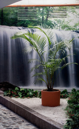 Motel Los Coches -  en Medellín