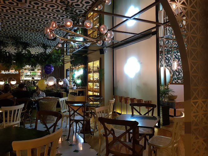 Malanga del trópico Laureles l Medellín - Restaurante colombiano en Medellín