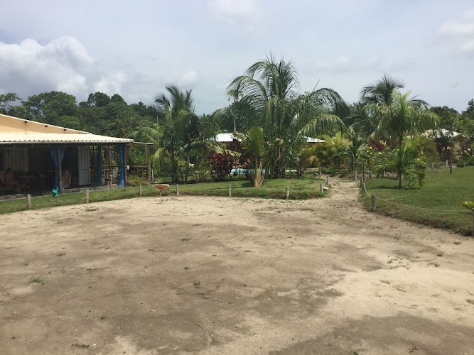 Hierros Y Laminas - Cementos Argos - Ferretería en Riohacha