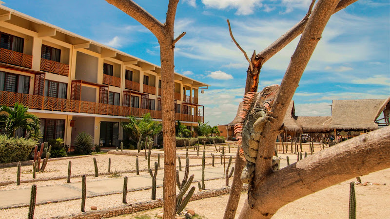 Hotel wayira - Hotel en Riohacha