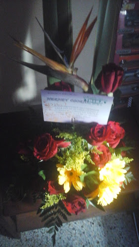 Droguería El Lago - Farmacia en Rionegro