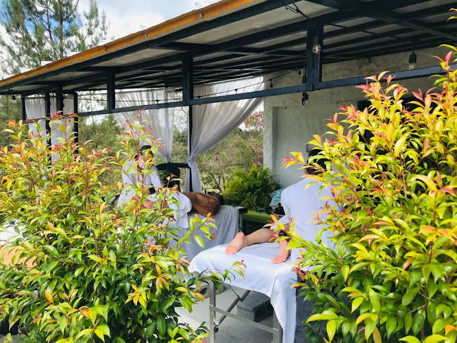 Hotel campestre zona 7 - Hotel en Rionegro