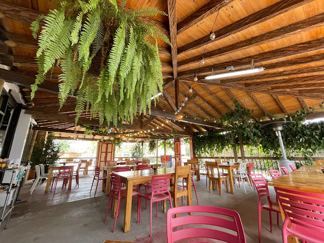 La Abuela Nita - Restaurante Llanogrande - Restaurante de cocina criolla en Rionegro