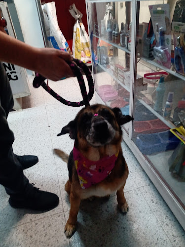 San mateo brasa - Restaurante especializado en chuletas en Soacha